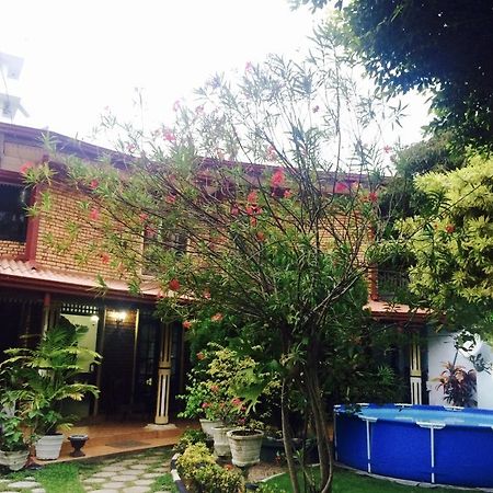 Colombo Lavinia Beach Hostel Dehiwala-Mount Lavinia Ngoại thất bức ảnh